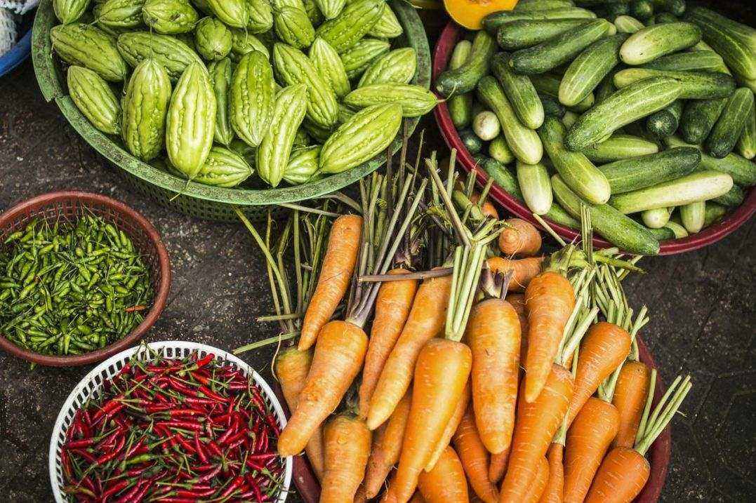 Kūmara harvest