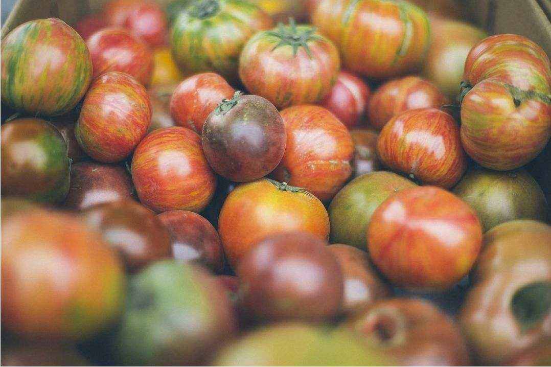 Hawke's Bay apples